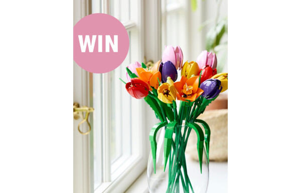 Gagnez le bouquet de tulipes LEGO 11501