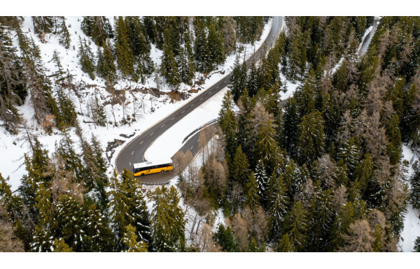 Gagnez des billets pour différentes sorties