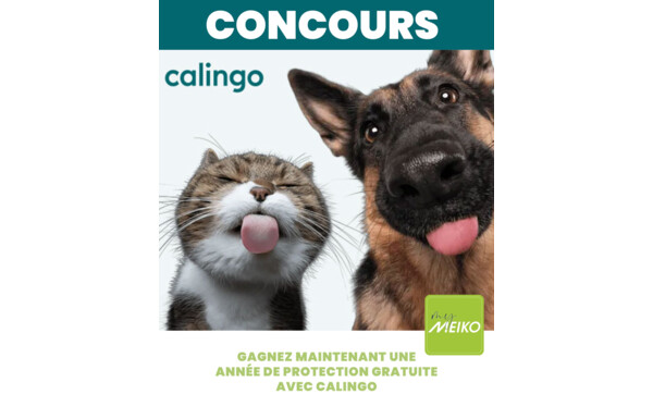 Gagnez une année complète de protection gratuite pour votre animal de compagnie