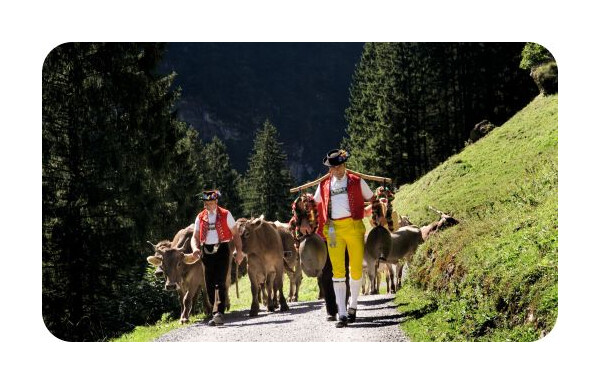 Gagnez une expérience dans une destination suisse traditionnelle pour des séjours, 10 couteaux de poche Victorinox et d'autres lots
