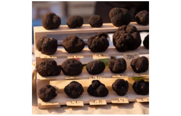 Gagnez 3 x 2 places pour déguster une fondue aux truffes d’une valeur de CHF 38.- par personne
